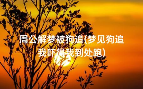 梦见自己被大狗追_周公解梦