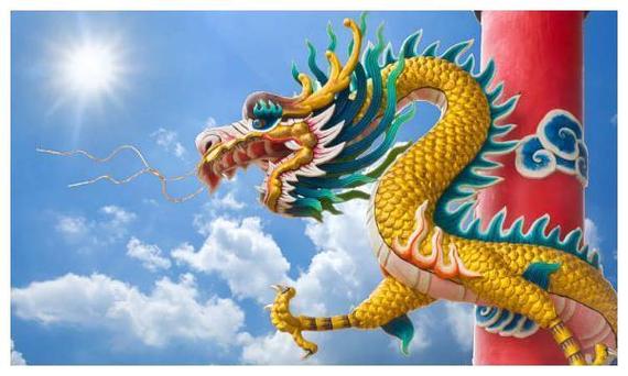 生肖龙1988命运如何?