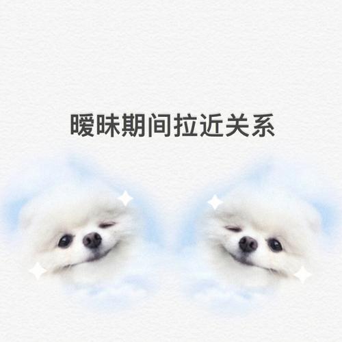 属狗女倒追男生的惯用套路