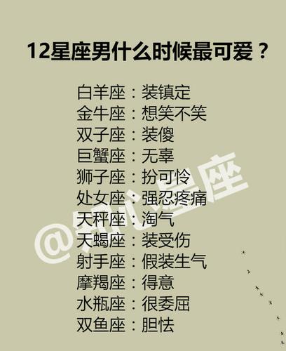十二星座最适合的星座男