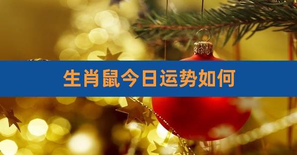 2020年属鼠的财运和运气如何