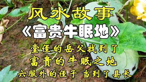 风水宝地的故事汇集