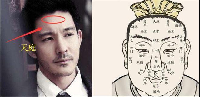 鼻梁生得低,生活呆板而单调的男人面相分析