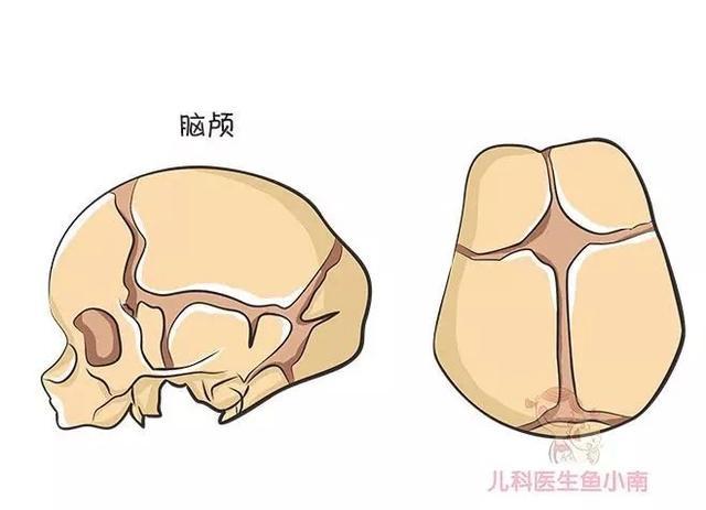 婴幼儿囟门相学研究:囟门凹陷、凸起及异常分析