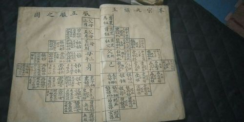 聂姓家谱辈分排字顺序是什么