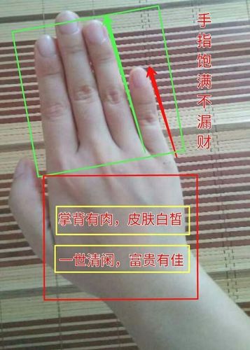 有福气的女人手相特征