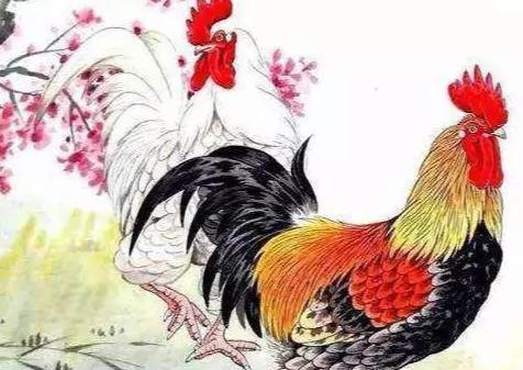 生肖猴和生肖鸡在2020年结婚好吗?属鸡2020年运势好吗?