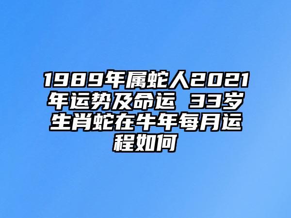 属蛇人在牛年的运势怎么样