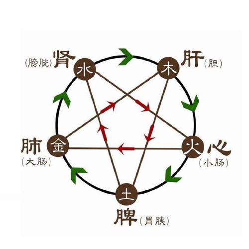 八字看肾功能好坏,八字看肾病