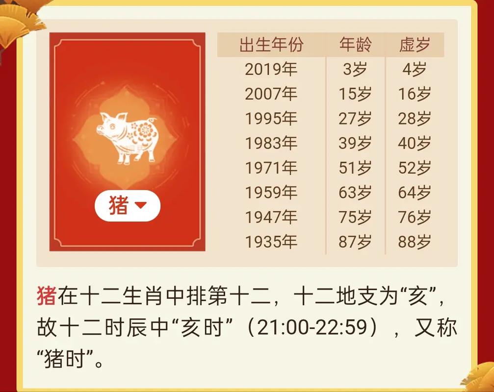 属猪的人怎么办