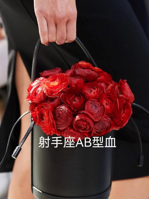 射手座的幸运色：暗红色
