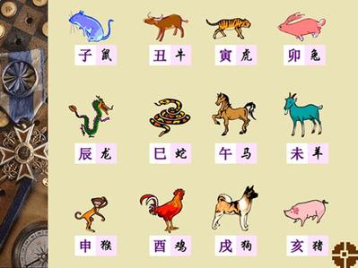 杨清华 十二生肖运势22-28