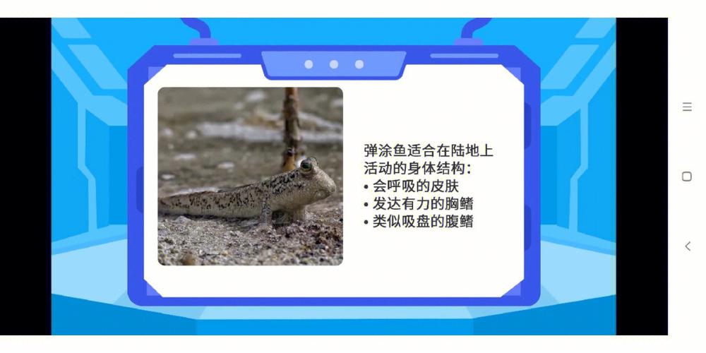 梦见常青藤怎么回事
