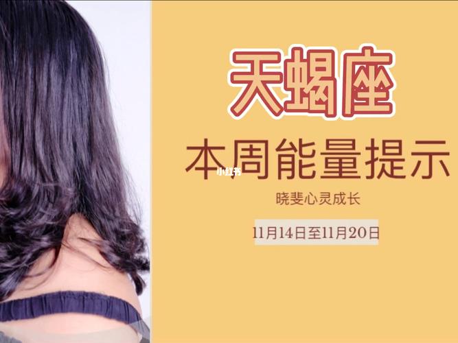 11月11日 (天蝎座) 生日密码