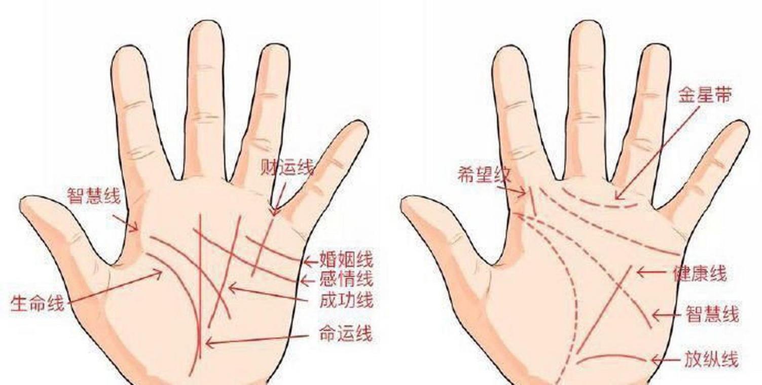 女人手相婚姻线怎么看