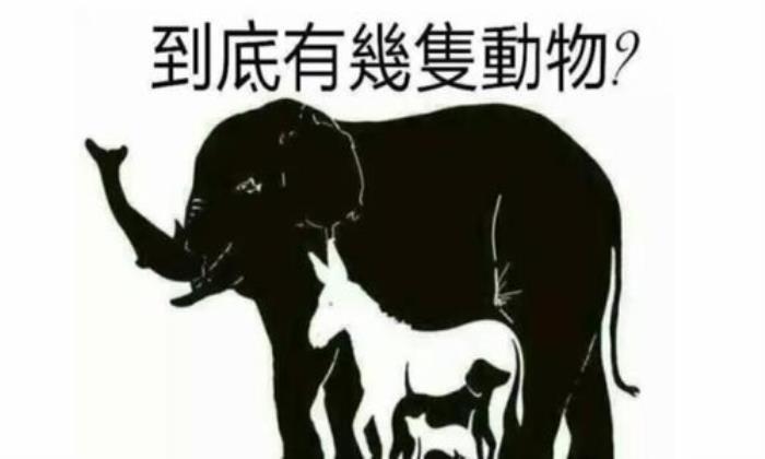 测一测你的情商和智商可不可以兼得