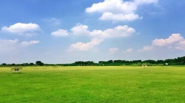 梦见草地、草场