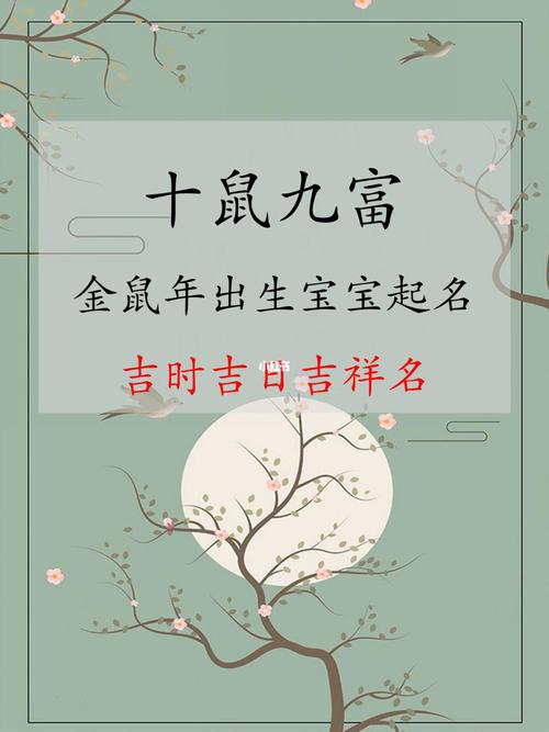 鼠年哪个月份出生的宝宝最好