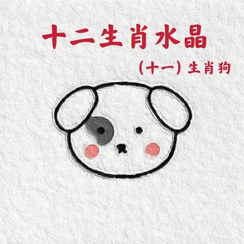 十二生肖与水晶的运势