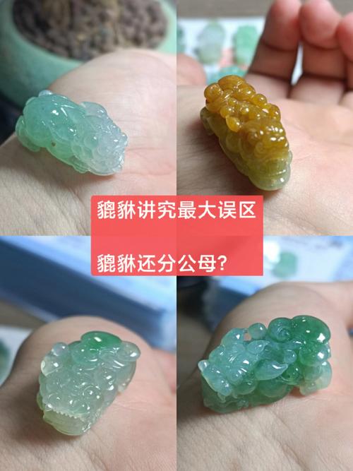 貔貅怎么分公母?