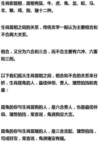 2020年生肖龙的贵人和小人是什么属相?命理贵人有哪些?