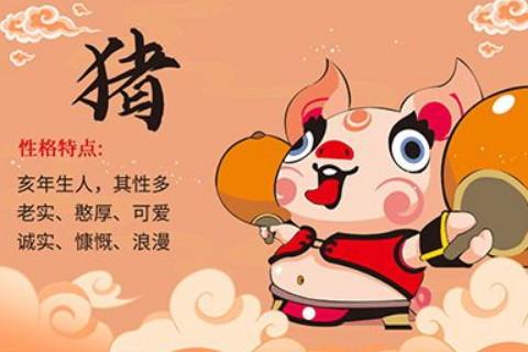 属猪的八月出生好不好