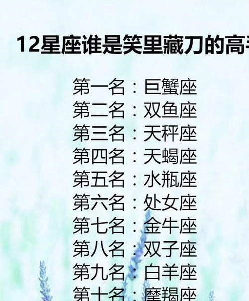 12星座老公最大方