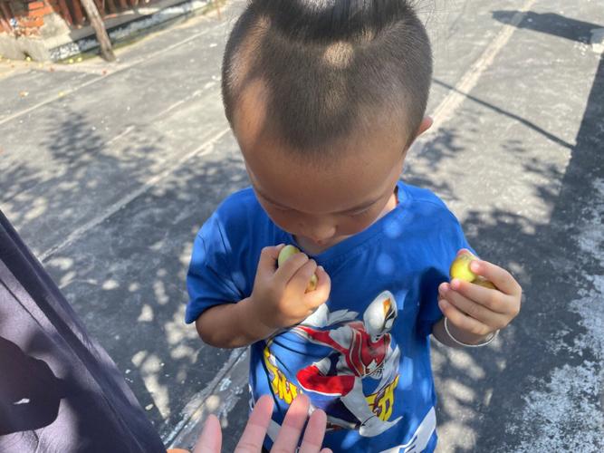 梦见打枣子是什么意思