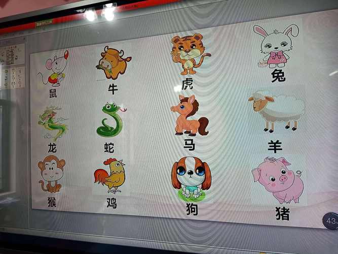 来看看十二生肖中你是怎样的人！