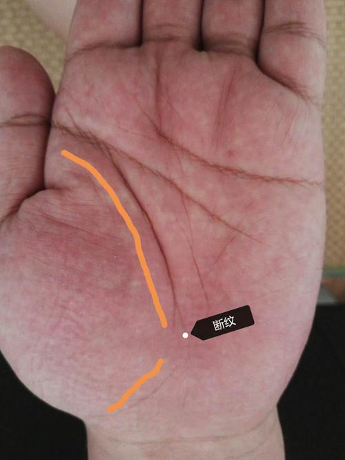 长寿人的手纹 什么手纹的人长寿
