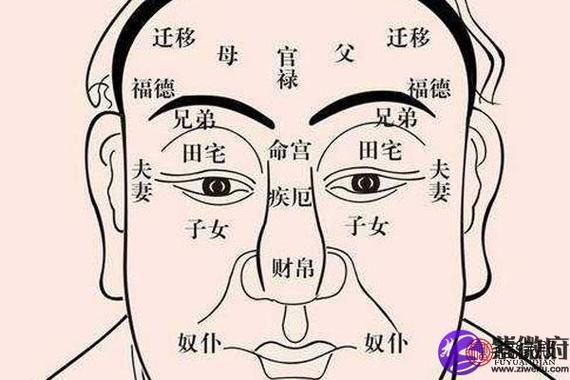 天同入迁移宫的人性格命运如何?
