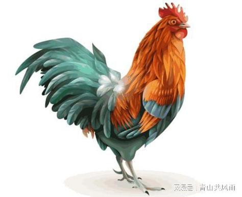 属鸡的职场幸运星是谁