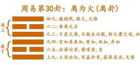 离为火卦详细解法