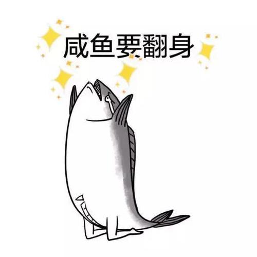 在6月,会从咸鱼翻身变富豪的生肖