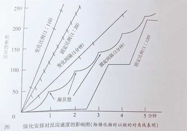 教育心理学扇贝效应