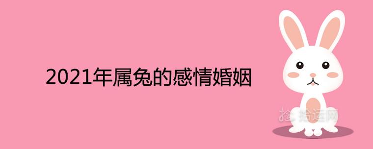 属兔人的婚姻情感