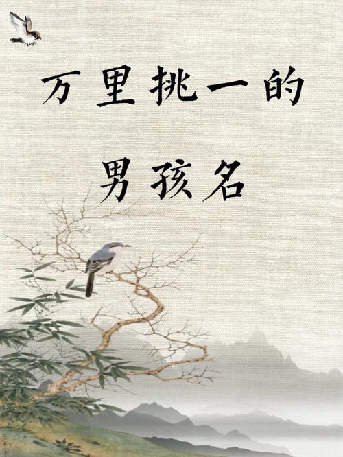 稽征什么的男孩名字宝贵