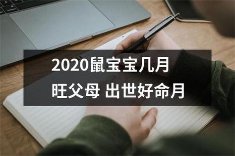 2020年1月出生的鼠宝宝会旺父母吗