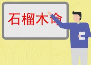 石榴木命命带正印吗