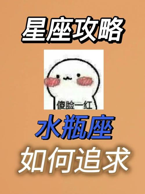 如何追求水瓶座女生