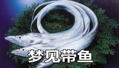 梦见带鱼