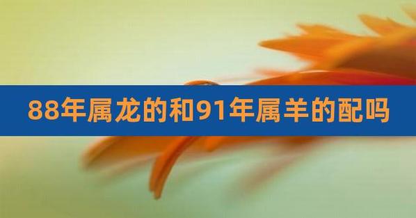 88年属龙与91年属羊配吗