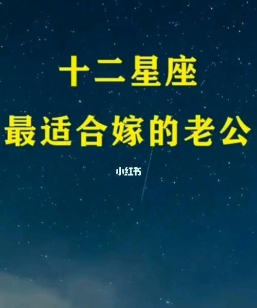 上上等婚姻的星座情侣