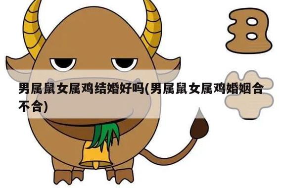 属鸡男与属鼠女是大忌吗