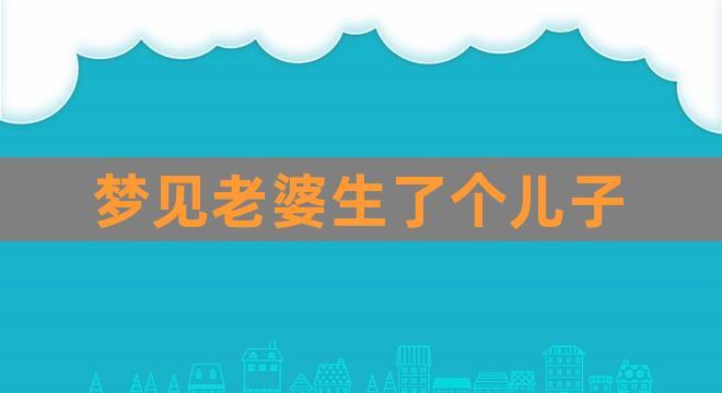 梦见老婆生了儿子