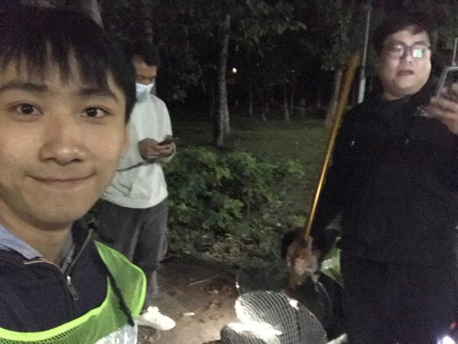 来车撞到狗有什么讲究