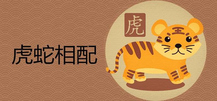 虎蛇相配吗 断头婚如何化解