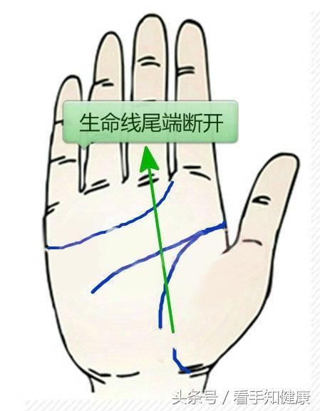 摊开手掌生命线不连贯意味着什么