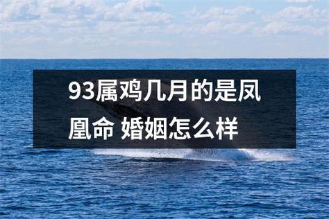 93属鸡正月的是凤凰命