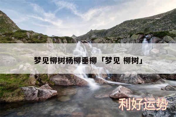 梦见柳树,周公解梦梦到柳树是什么意思,做梦梦见柳树好不好